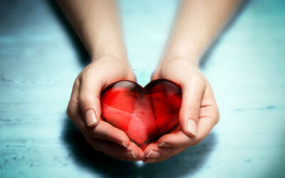 Desafío Solidario, gracias a todos