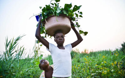 La salud en los Objetivos de Desarrollo del Milenio, objetivos no cumplidos