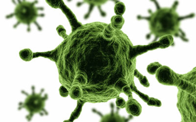 Los virus frente a las vacunas, armados con Kalashnikov